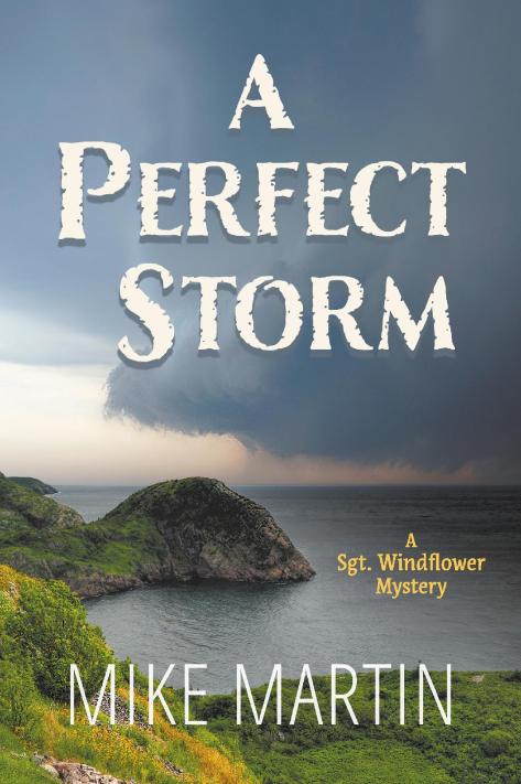 Cover A Perfect Storm